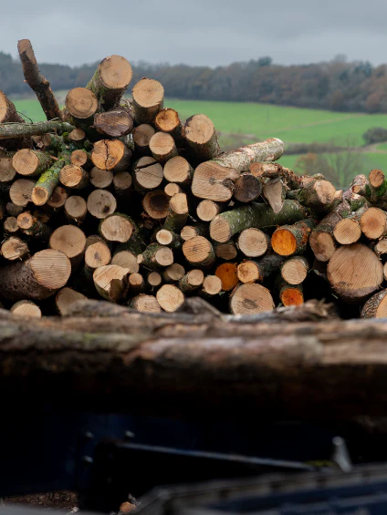 Oak Wood Chunks - Image 3