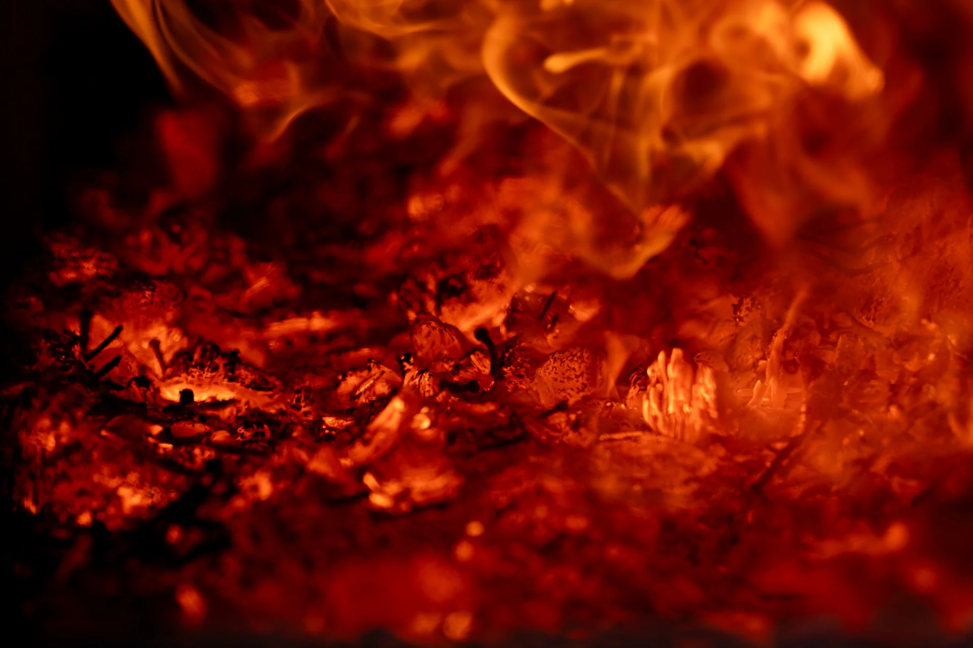 Wild Cherry Charcoal - Image 3